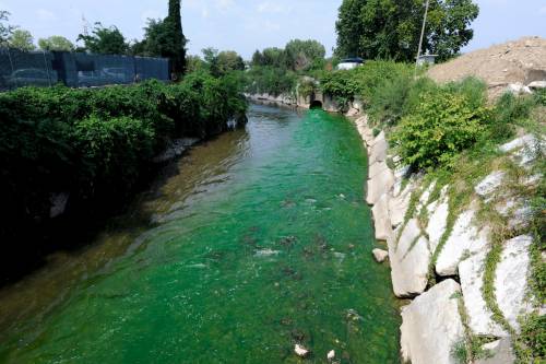Il fiume Lambro si colora di verde, l'Arpa: "È stata rilasciata una sostanza"