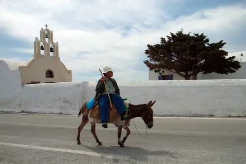 Santorini, stop allo sfruttamento degli asini per i turisti