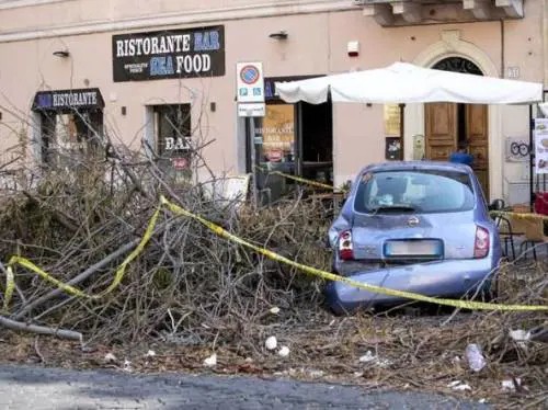 Roma, auto di ragazza disabile "ostaggio" dei rami da due settimane