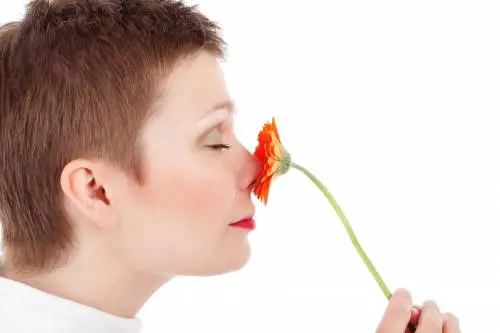 Bakuchiol: dalla natura l'alternativa di bellezza al retinolo