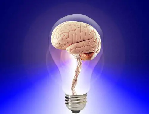 Le novità mantengono giovane il cervello