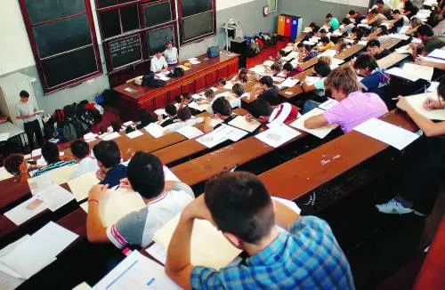 Istruzione, Italia maglia nera Ocse: ha solo il 4% di laureati