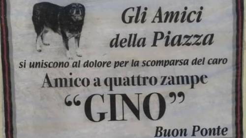 Campi Salentina, manifesti funebri per salutare il cane Gino