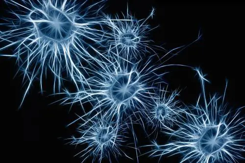 La rivoluzione contro l'Alzheimer: si scopre con semplice test del sangue