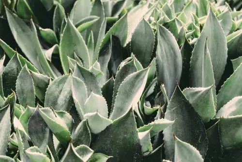 Combattere il caldo con gli integratori naturali