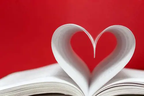 Tutte le sfumature di «rosa» del romanzo sentimentale