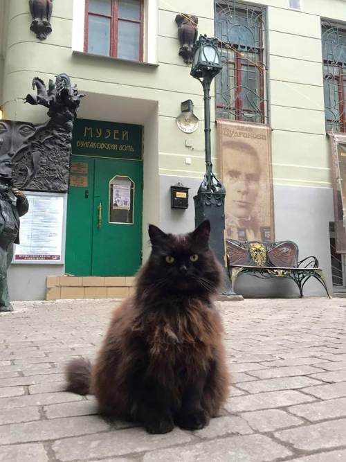 Giallo al museo di Mosca: rapito (e riconsegnato) il "gatto di Bulgakov"