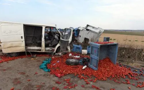 Tragedia a Foggia, scontro contro un tir: muoiono quattro braccianti