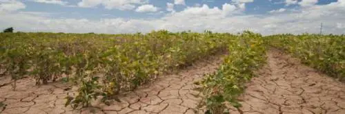 Il catastrofismo si aggrappa a mezzo grado