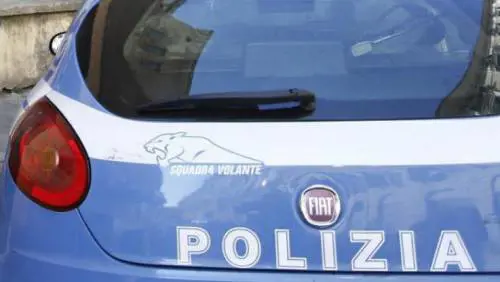 "Bastardi, controllate sempre me". E il marocchino sputa alla volante della polizia