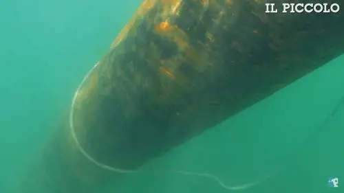 Il siluro ripescato a Grado