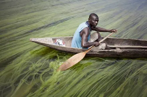 L'oro blu può salvare l'Africa