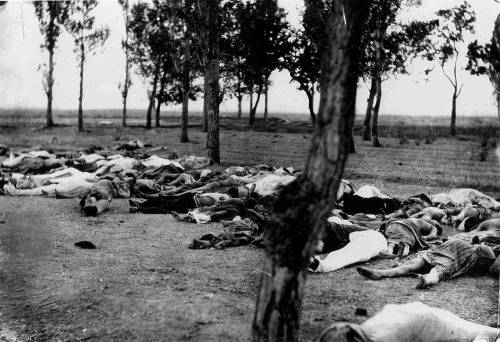 "Il genocidio armeno? I filosofi hanno le mani sporche di sangue"