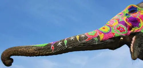 La fanta(scienza) allucinante con Suter sa anche farci ridere