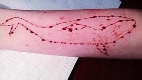 Sfida del Blue Whale a processo una 23enne