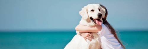 Sardegna, 200 euro di multa a chi porta il cane in spiaggia