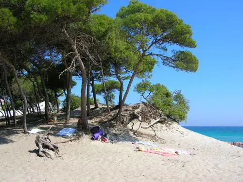 La minore in vacanza a Lecce: "Stranieri mi hanno stuprata"