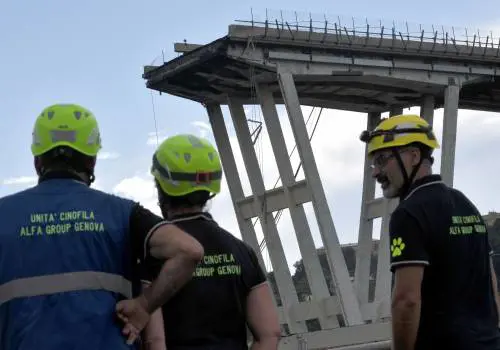 Nel crollo del ponte di Genova 38 morti ​Ci sono ancora dispersi