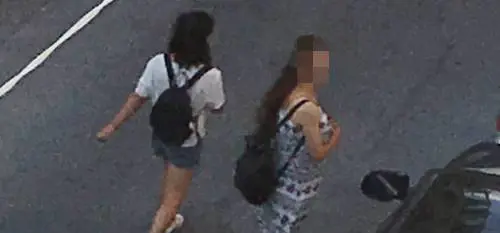 Zingare tentano di svaligiare appartamento, il proprietario le fotografa