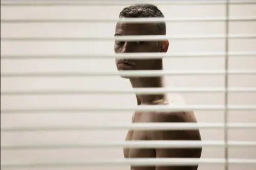 Se il cinema e la tv a braccetto in Laguna non si odiano più