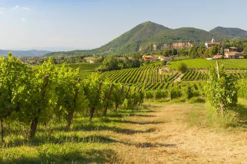 Gli antichi vulcani immersi nel silenzio cantati dai poeti e protetti dai santi