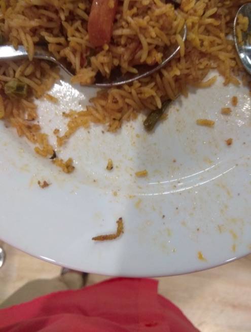 India, bruco nel piatto al ristorante di Ikea