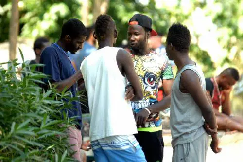 Verona, immigrato pulisce la strada ma viene multato di 100 euro