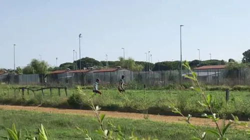 Paura per dipendenti e cavalli: così i rom tengono in ostaggio l'ippodromo