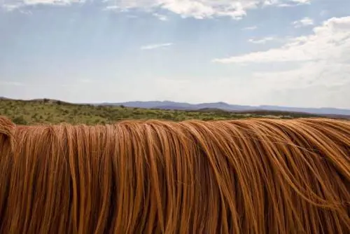 Come contrastare ​la caduta dei capelli