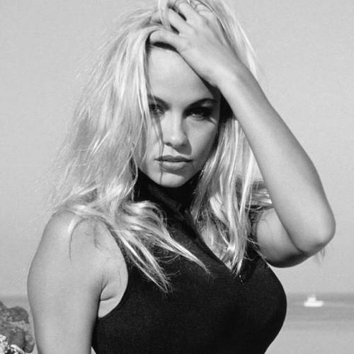 Pamela Anderson vegana sbugiardata