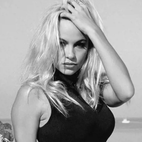 Pamela Anderson vegana sbugiardata