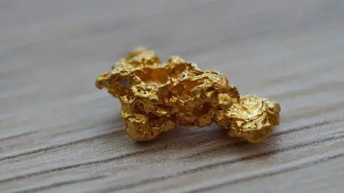 Trovata la pepita d'oro più preziosa di sempre