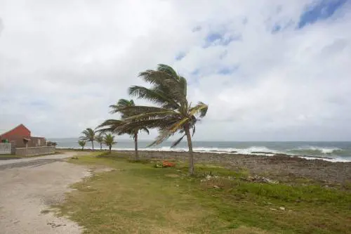 Aumenta la paura negli Stati Uniti per l'arrivo dell'uragano Michael: "È mostruoso, scappate via"