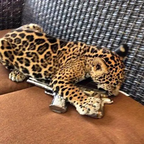 Rich Kids of Mexico, le foto
