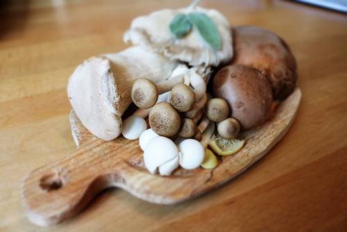 I benefici preziosi dei funghi sulla nostra salute