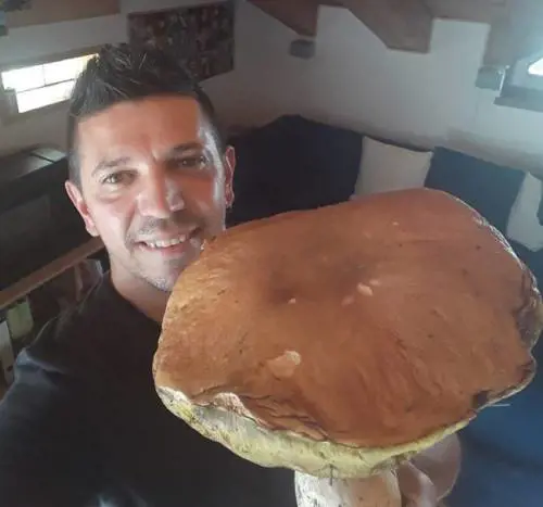 Il maxi porcino da 838 grammi, il cercatore: "Posto segreto..."