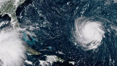 Il presentatore radio Usa: "L'uragano Florence fa piovere squali"
