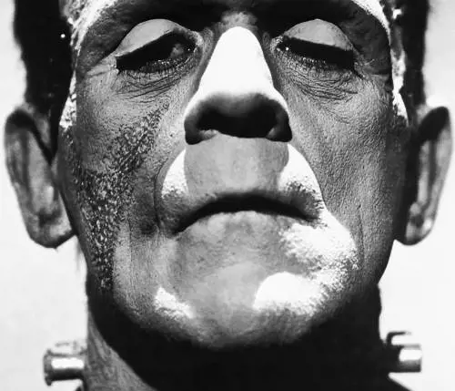 Morte, poesia, mistero e ribellione, così Mary Shelley creò un mito