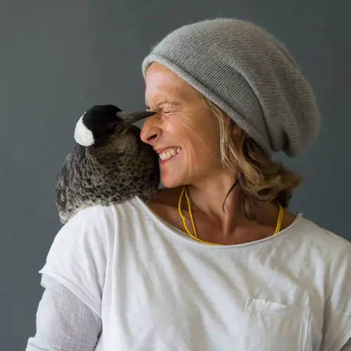 Sam paralizzata e depressa la salva l'amore della gazza