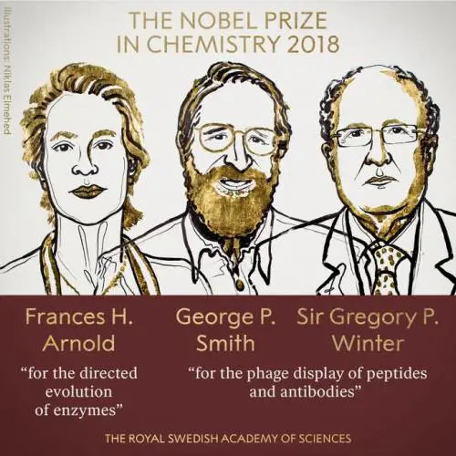 Il Nobel per la Chimica a un trio di scienziati per studi sulle proteine