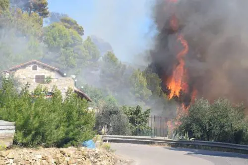 Fiamme vicino alle case nell'Imperiese: canadair ed elicottero in azione