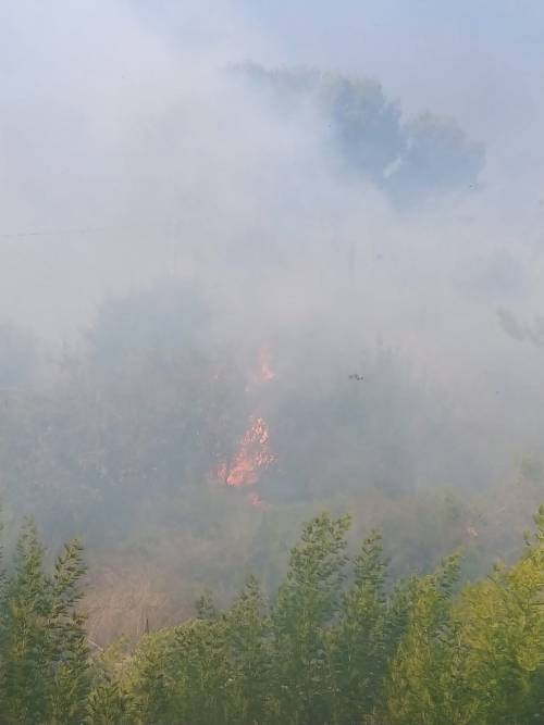 Bruciano le alture di Seborga, fiamme vicino alle case