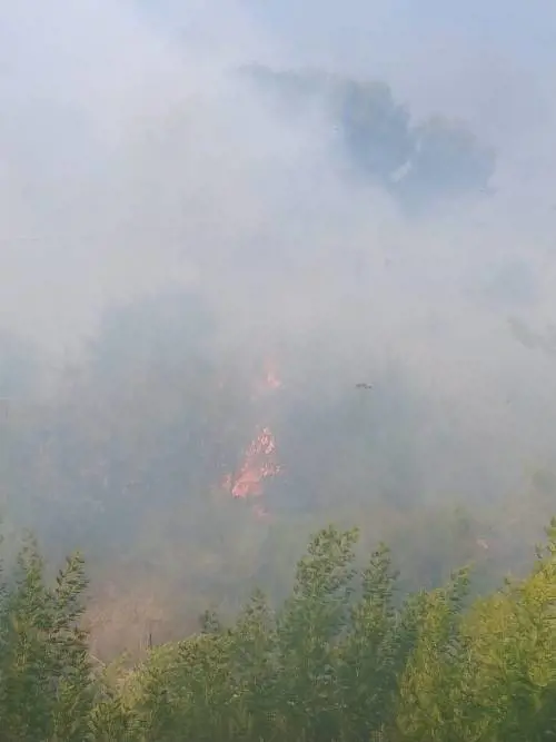 Bruciano le alture di Seborga, fiamme vicino alle case