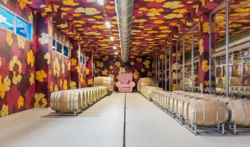 Quel vino speciale fatto da un'Astemia Pentita