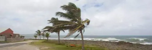 Bilancio uragano Michael: 6 morti negli Usa