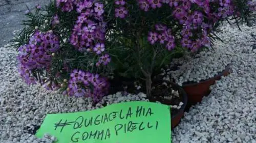 Strade come sentieri di guerra? Tranquilli, vi multiamo se supererete i 30 km orari