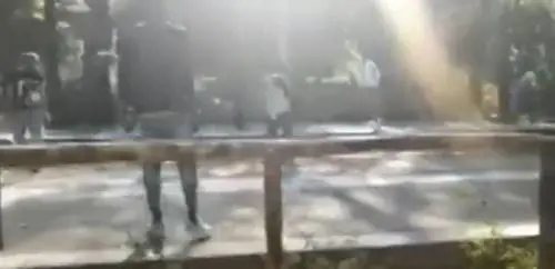 Firenze: rissa tra bande nel parco delle Cascine in pieno giorno