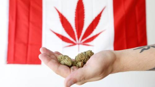 In Canada entra in vigore la norma che legalizza la marijuana