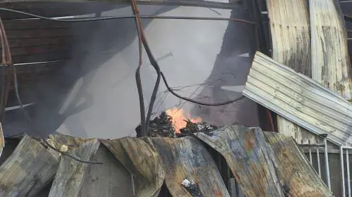 Milano, allarme diossina: le scuole non fanno uscire i bimbi