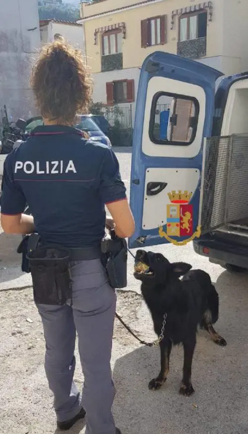 Il fiuto del cane antidroga inguaia tre persone